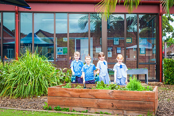 St Columbas Catholic Primary School Leichhardt North